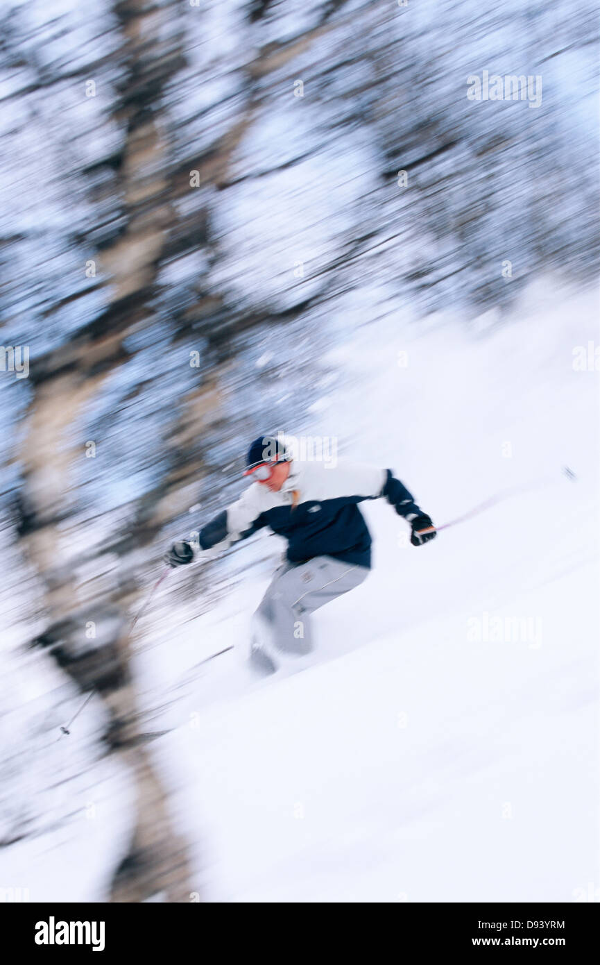 Skier going downhill, Bjorkliden, Lapland, Sweden Stock Photo Alamy