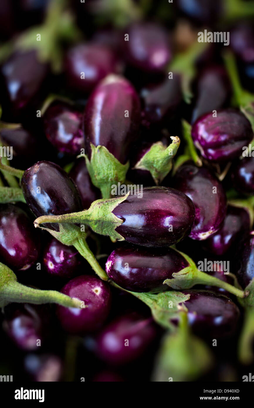 baby eggplant fresh from farmers market Stock Photo