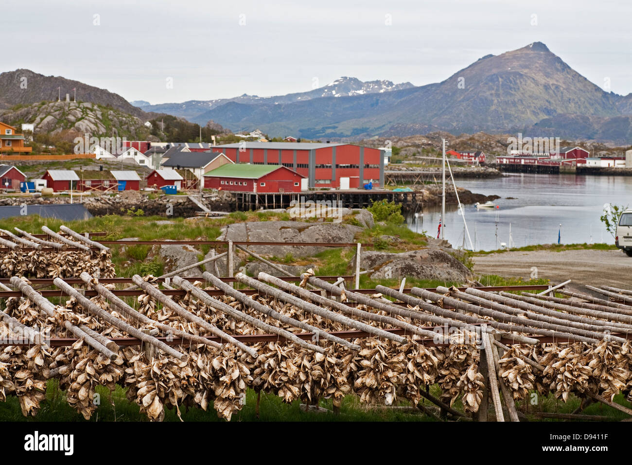 Fishing village with cod and haddock fish drying on rack Stock Photo