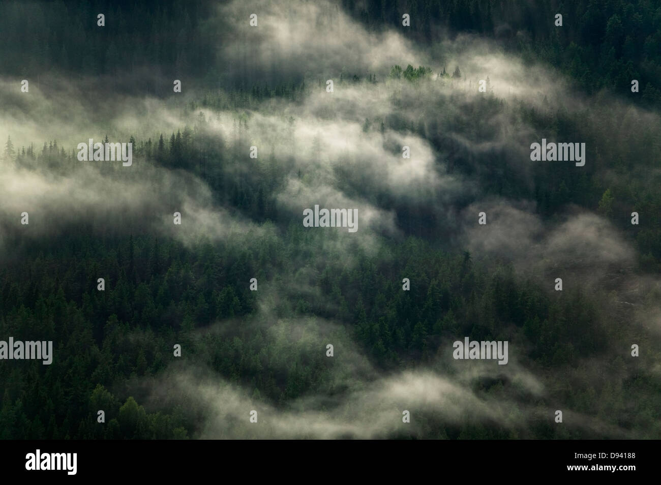 Fog over forest hi-res stock photography and images - Alamy