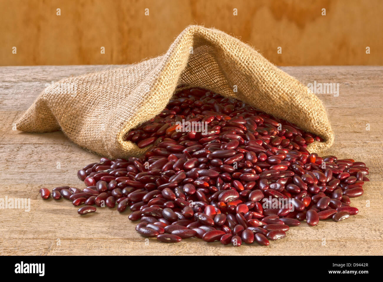 Red kidney beans spilling from jute or burlap sack on a rustic plank background. Stock Photo