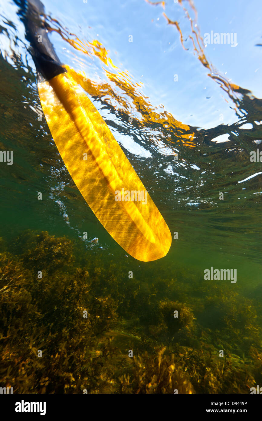 Yellow paddle underwater Stock Photo