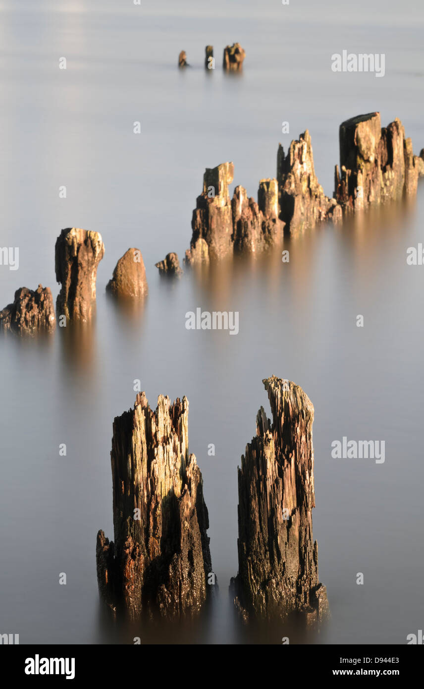Old wooden pillar sticking out of water Stock Photo