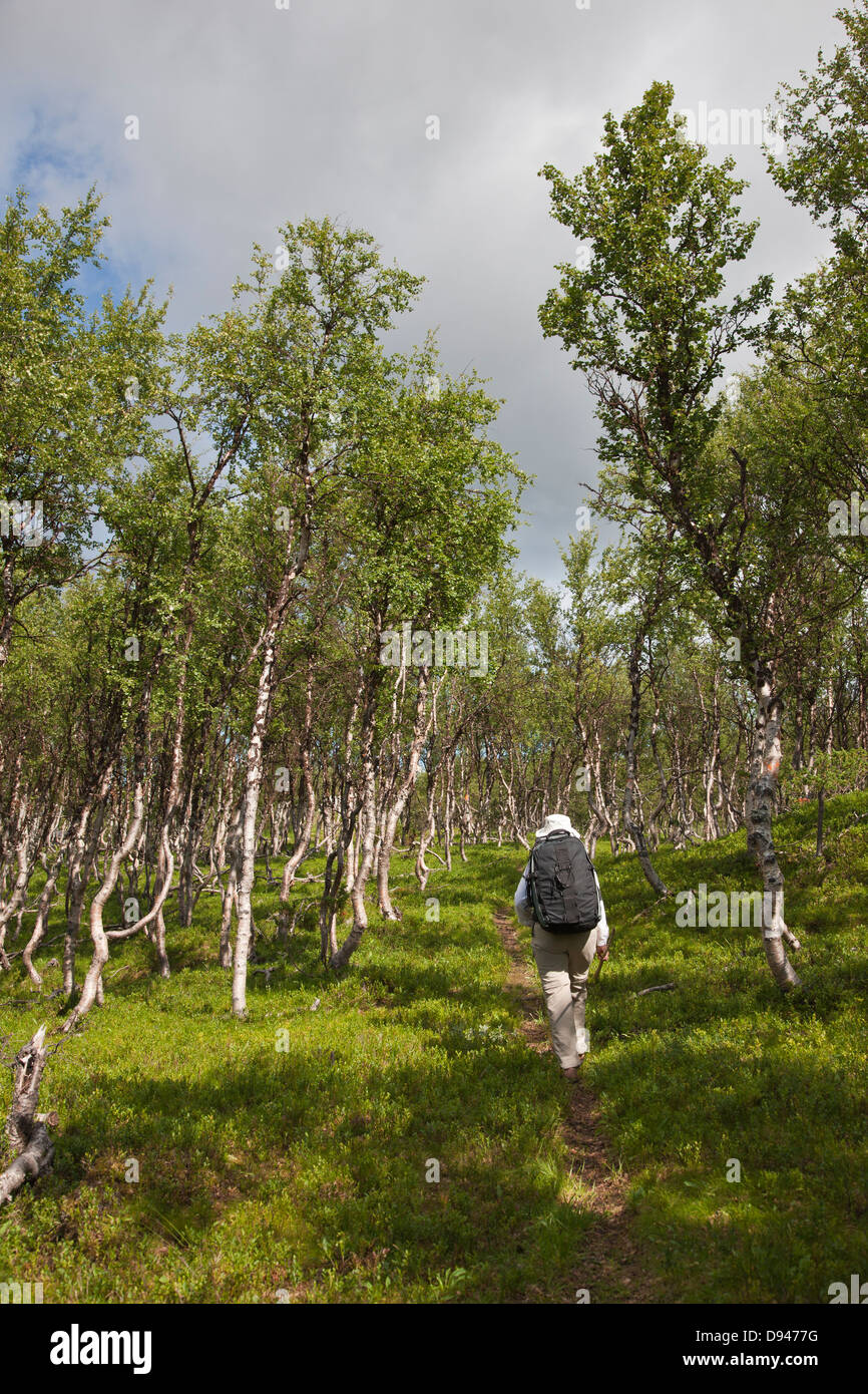 One man hiking through hi-res stock photography and images - Alamy
