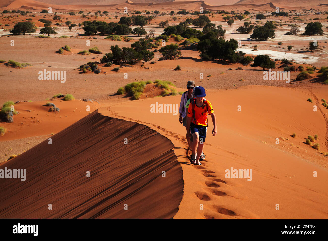 Family climbing sand dune at Sossusvlei, Namib-Naukluft National Park ...