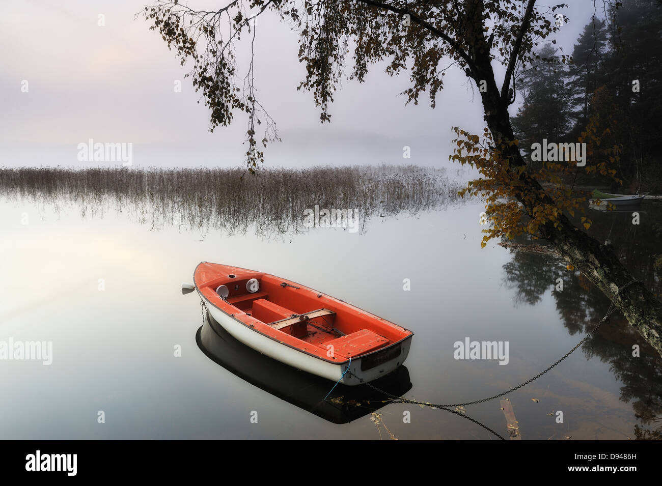 Rowing boat at lake Stock Photo - Alamy