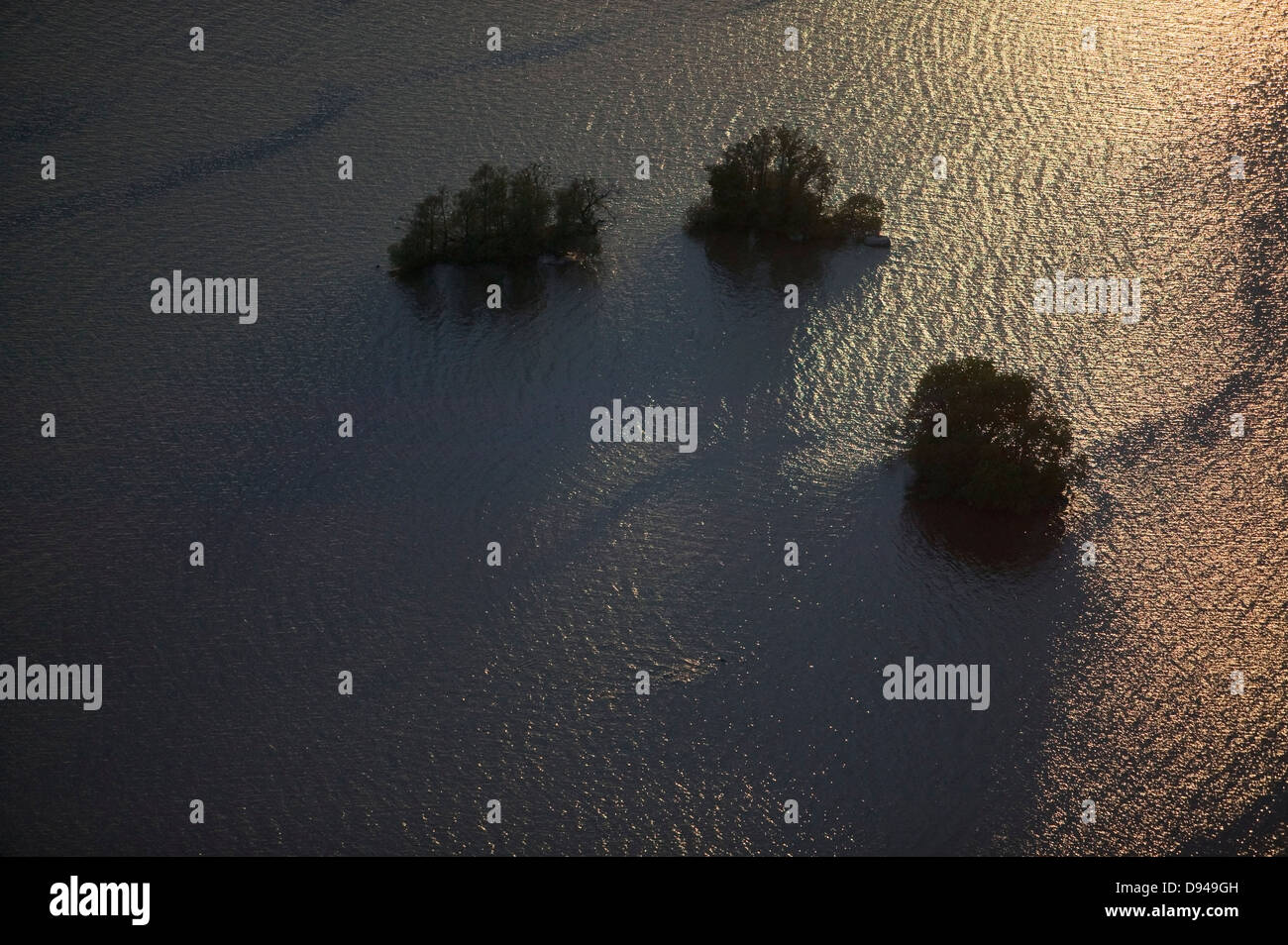 Islands in a lake, Malaren, Sweden. Stock Photo