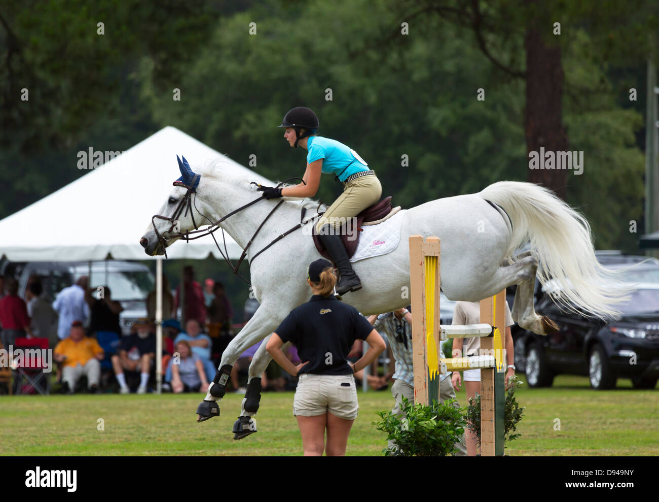 A horse and rider clear a vertical fence in a sixbar show jumping