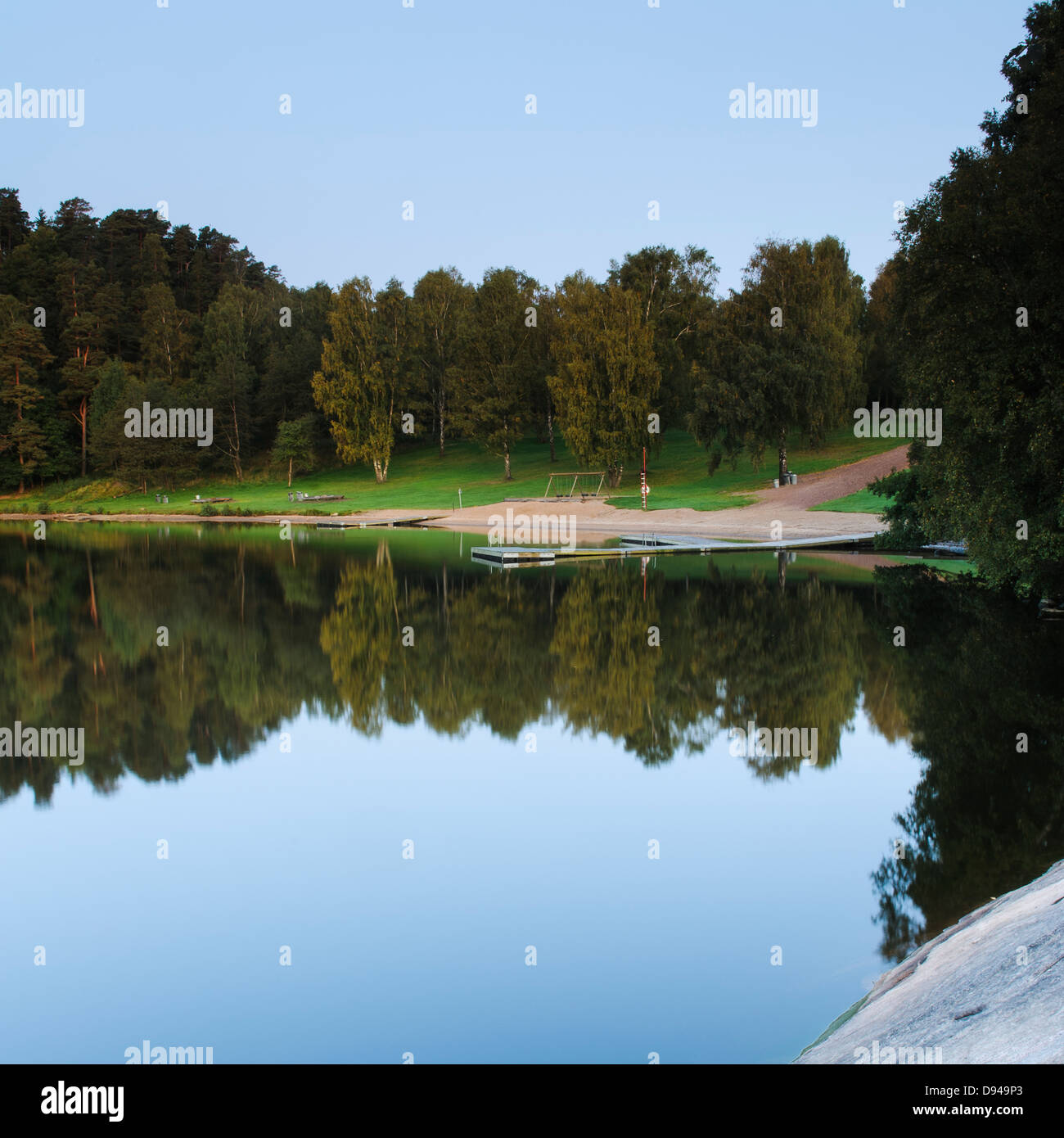 Big trees reflecting in hi-res stock photography and images - Alamy