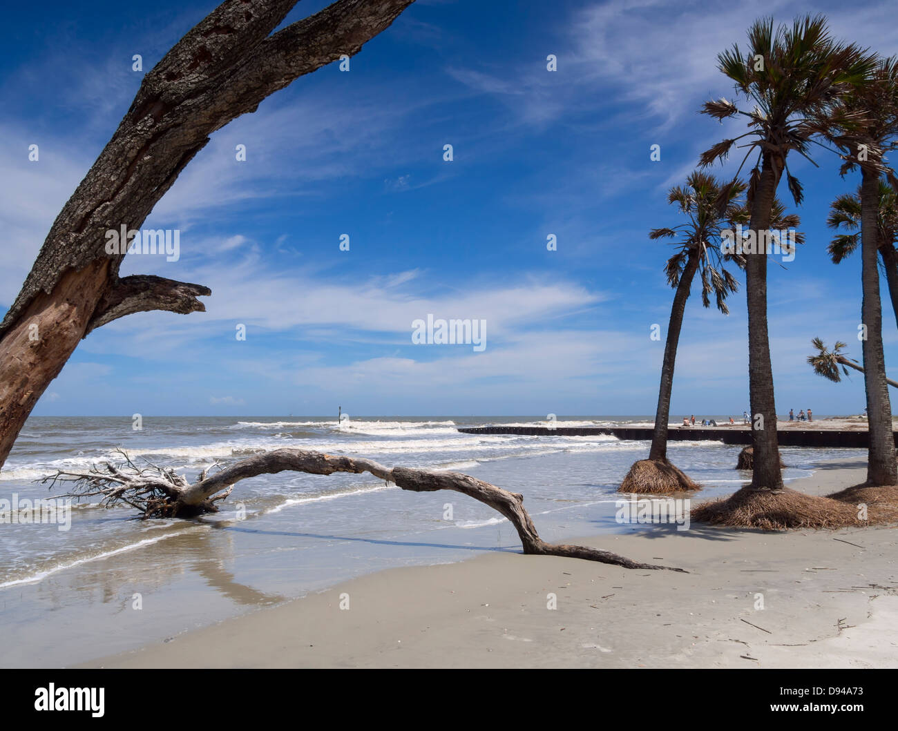 The beach at Hunting Island State Park, South Carolina Stock Photo - Alamy