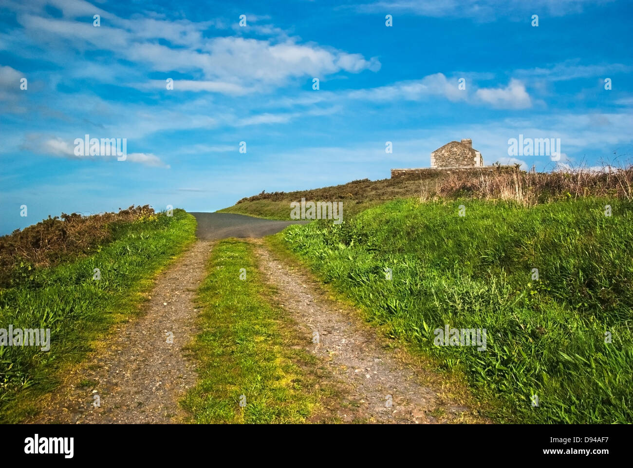dirt road in the grass and blue sky Stock Photo - Alamy