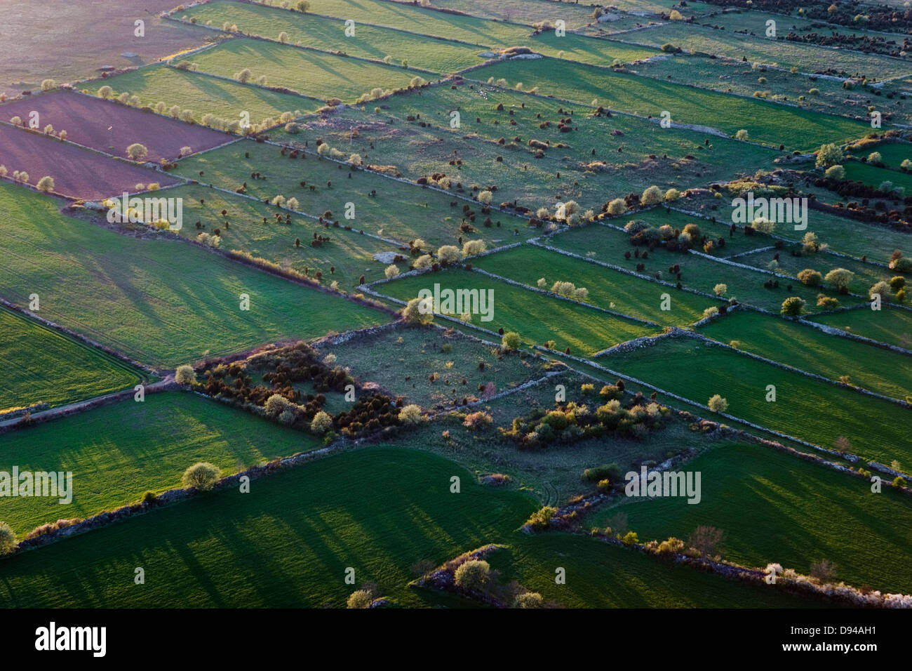 Arable and pasture land, aerial view, Oland, Sweden Stock Photo Alamy