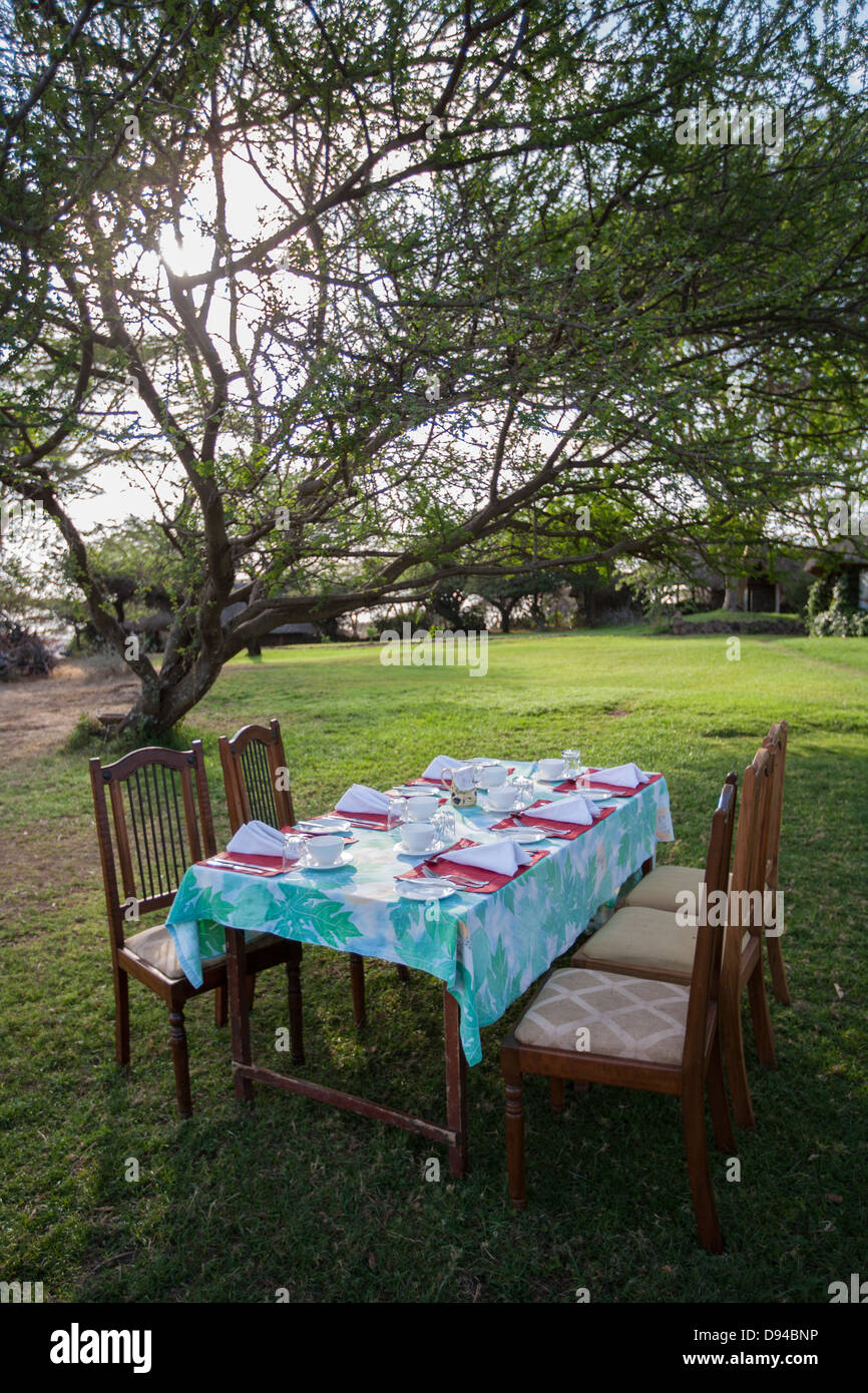 outdoor table setting on a grassy lawn under a tree Stock Photo