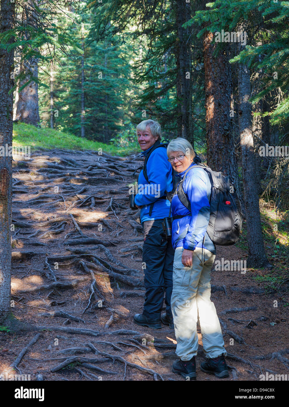 Two female hikers walking through forest, Jaspr National Park, Canada Stock Photo