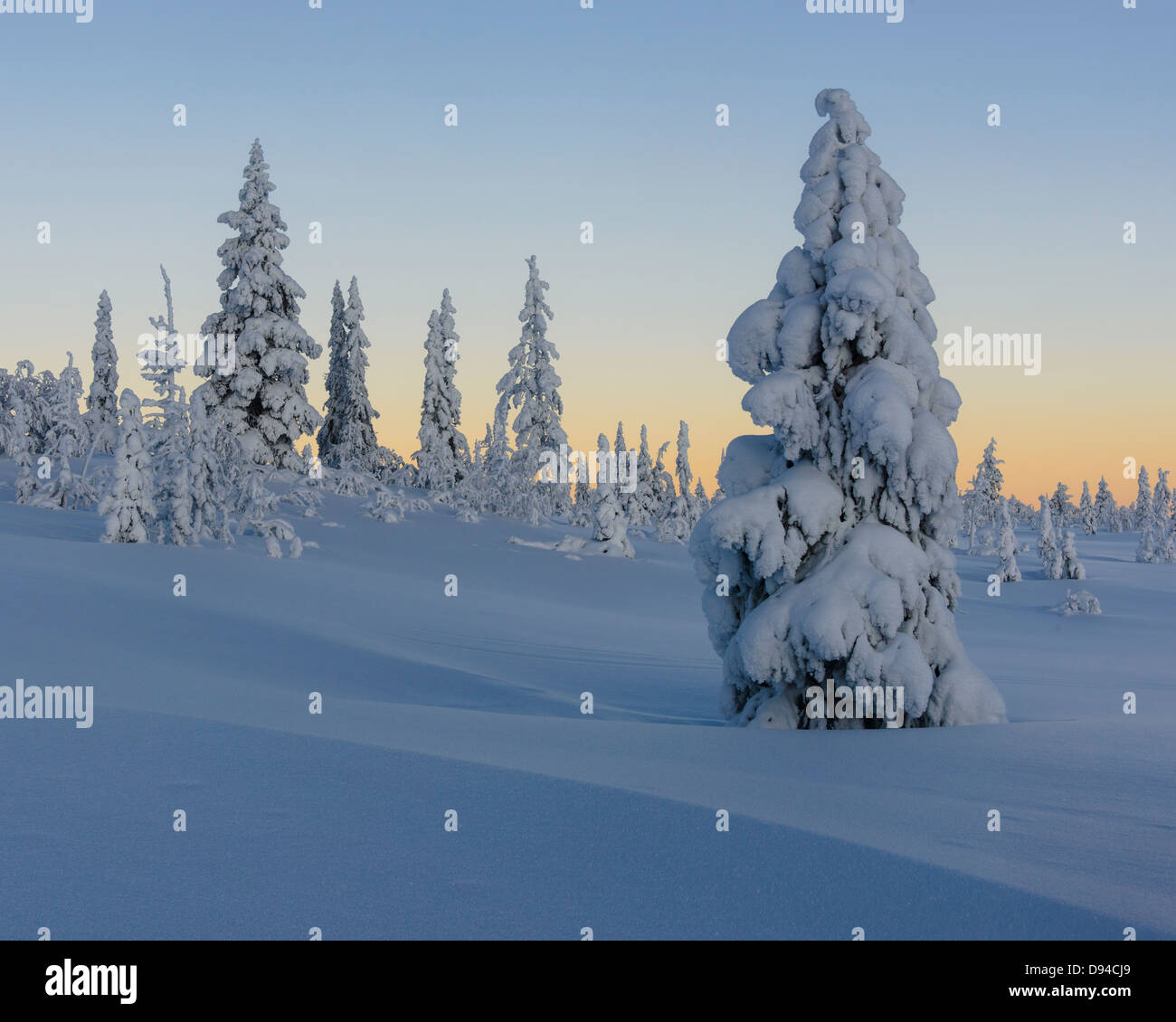 Scenic winter landscape hi-res stock photography and images - Alamy