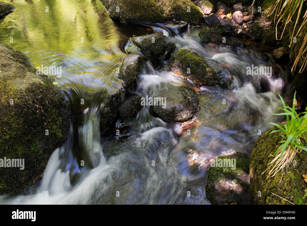 Water and rocks. River Dart, Devon, England Stock Photo Alamy