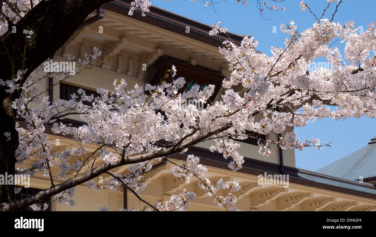 Yushukan Front Facade with Cherry Blossom Stock Photo