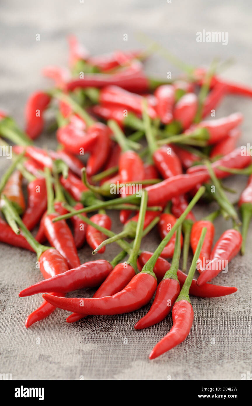Lots of chillies hi-res stock photography and images - Alamy