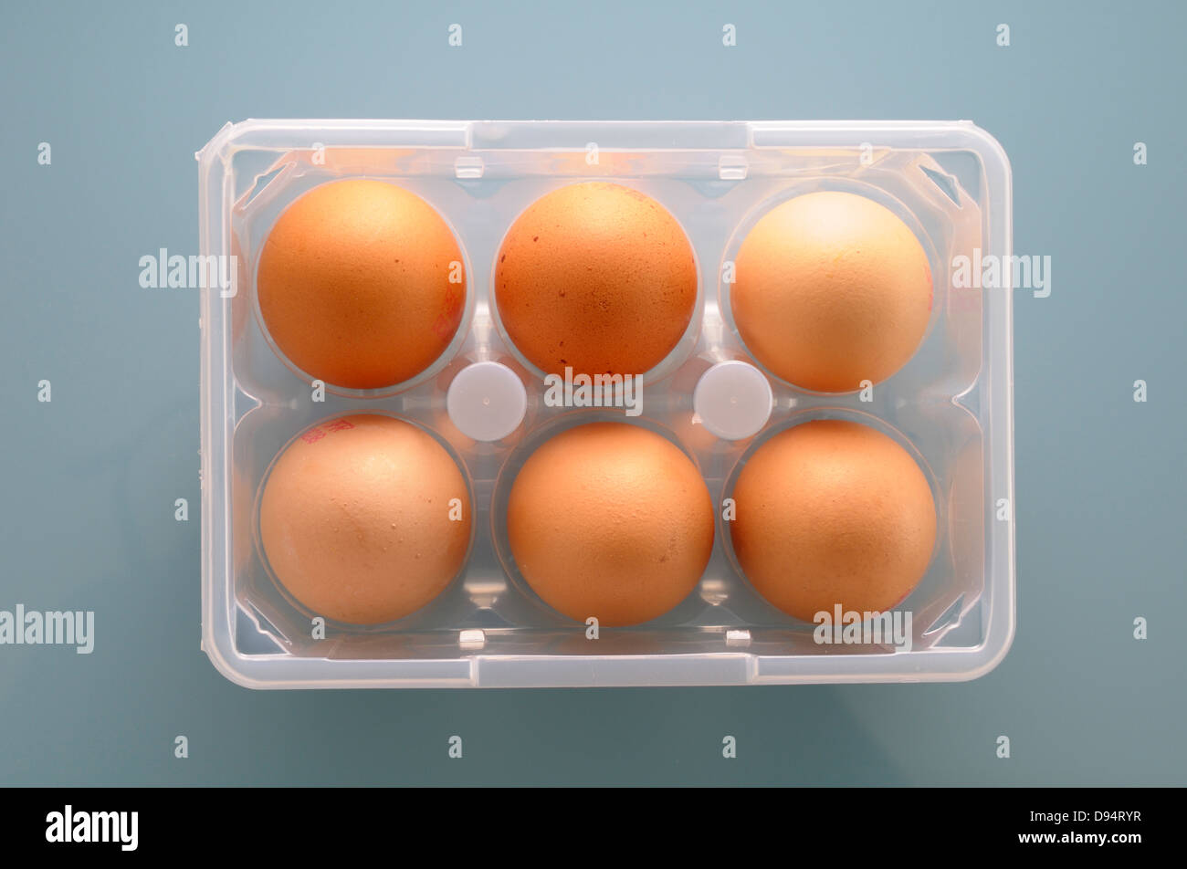 plastic egg carton Stock Photo - Alamy