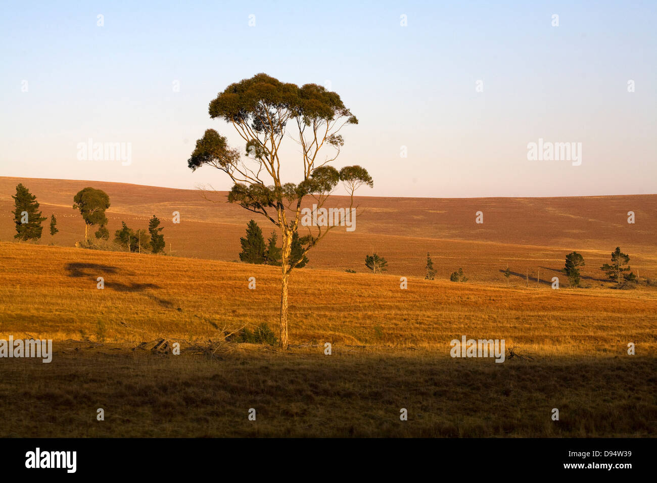 The veld or Veldt in South Africa Stock Photo - Alamy