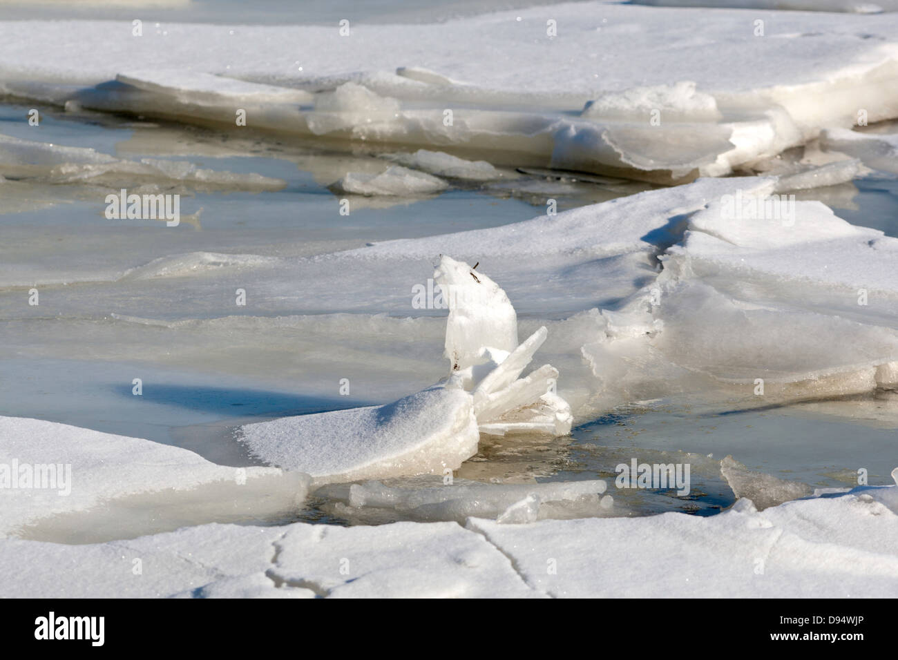 A close view of several thick ice floes that are cracking. Stock Photo