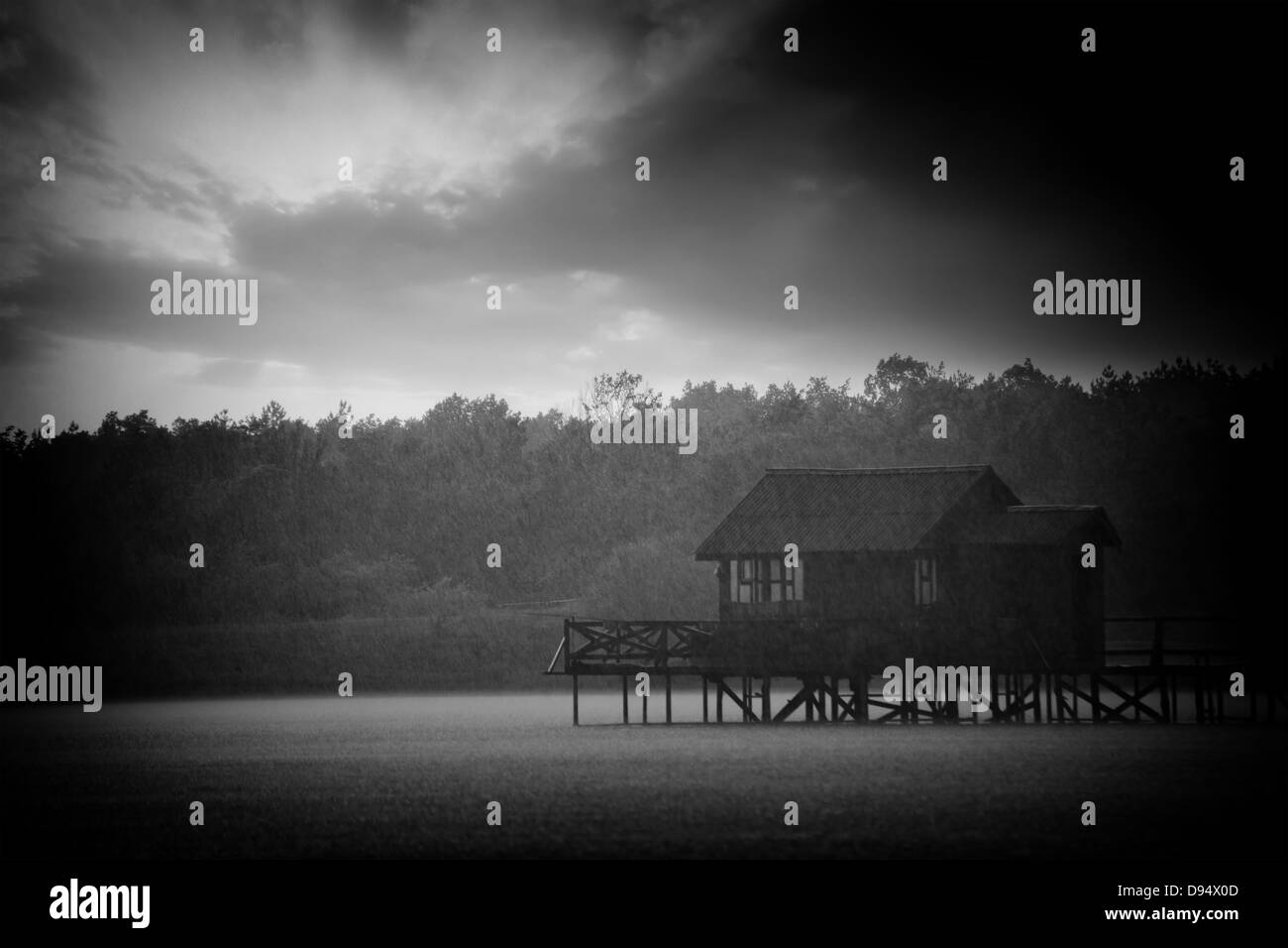 rain storm over the summer lake in blak and white Stock Photo - Alamy