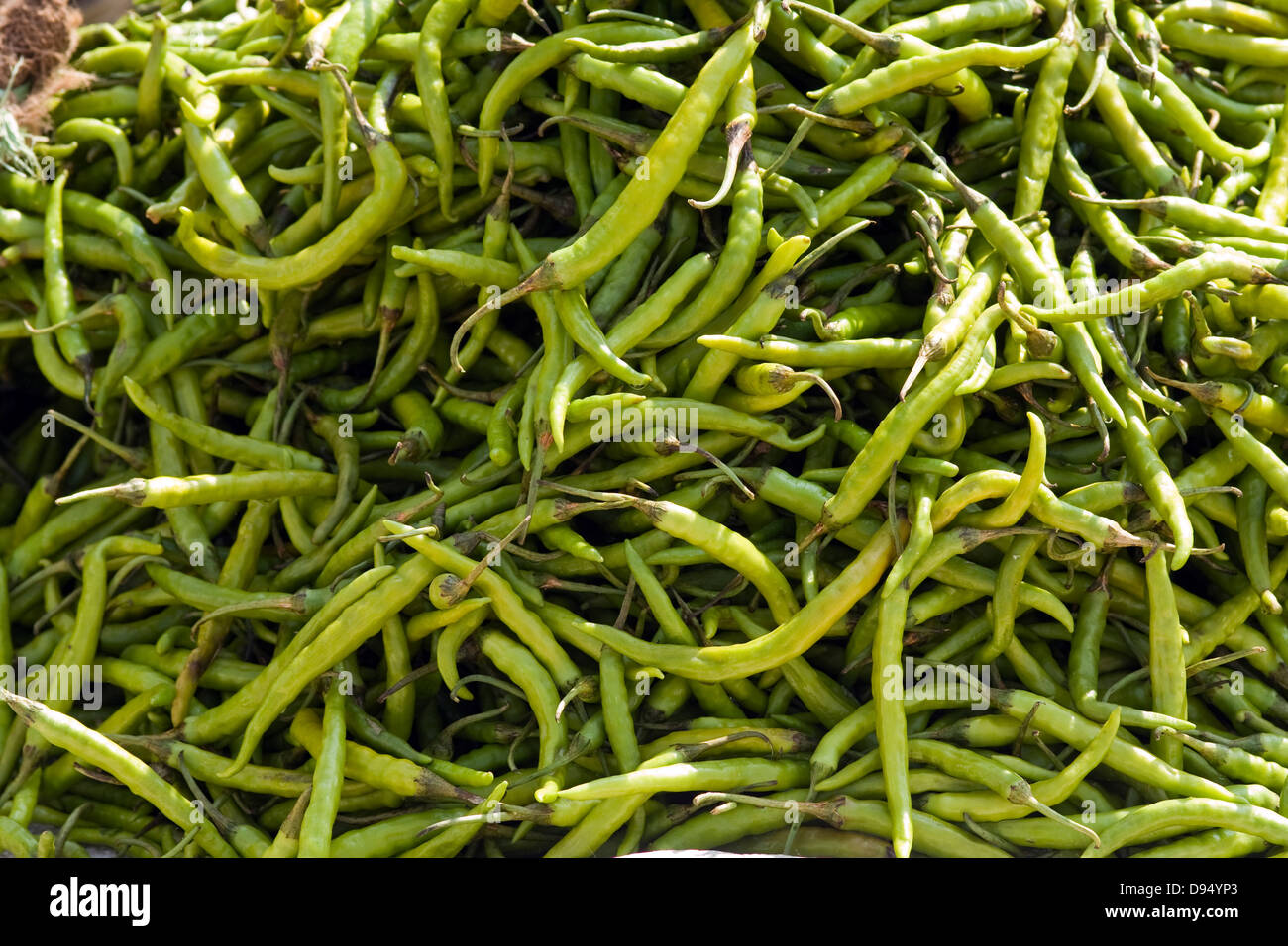 Asia, India, Karnataka, Belur, green chillies Stock Photo Alamy