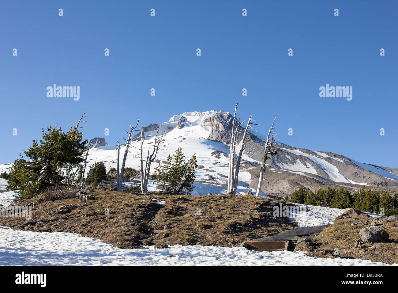 Mount Hood with Clear Blue Sky in Oregon Stock Photo