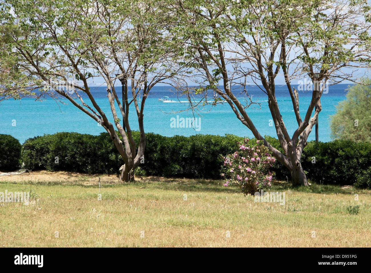 Mediterranean park with the blue sea at the background Stock Photo