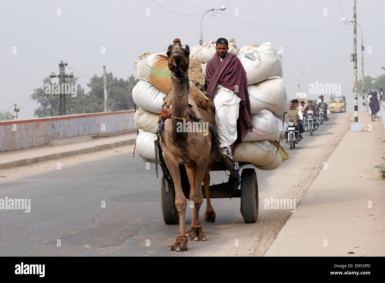 Venta > cargo camel > en stock