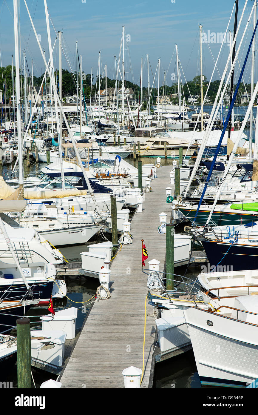 Docked sailboats, Annapolis, Maryland, USA Stock Photo Alamy