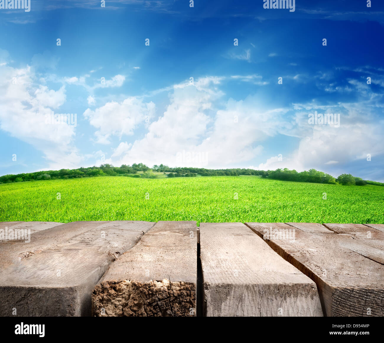 Fresh spring meadow, blue sky and wooden floor Stock Photo