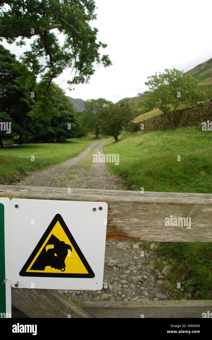 A beware of the bull sign. Stock Photo