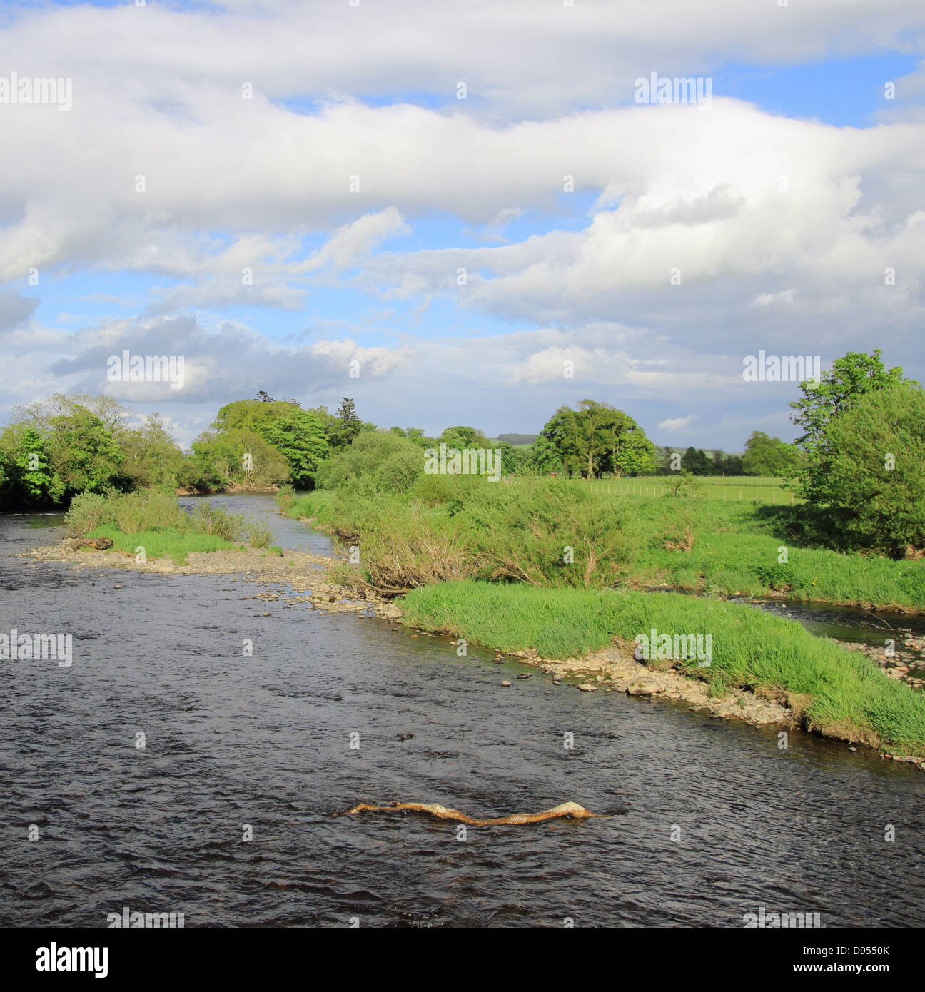 River Annan, Annandale, Dumfries and Galloway, Scotland, UK Stock Photo