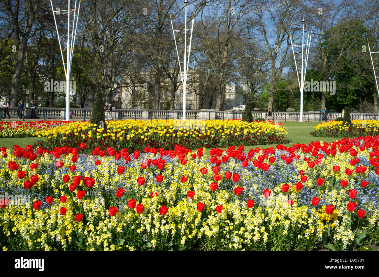 Brightly coloured  red tulips near Buckingham Palace, London, UK Stock Photo