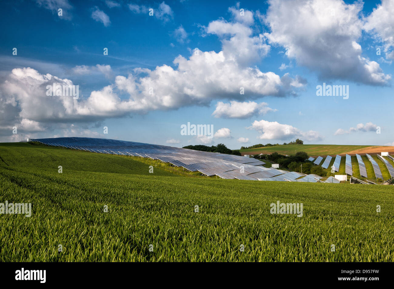 Silicon solar energy panels on green corn field Stock Photo Alamy