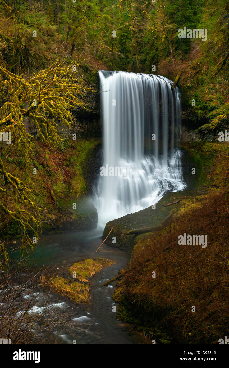 OREGON Middle North Falls on the Trail of Ten Falls through the