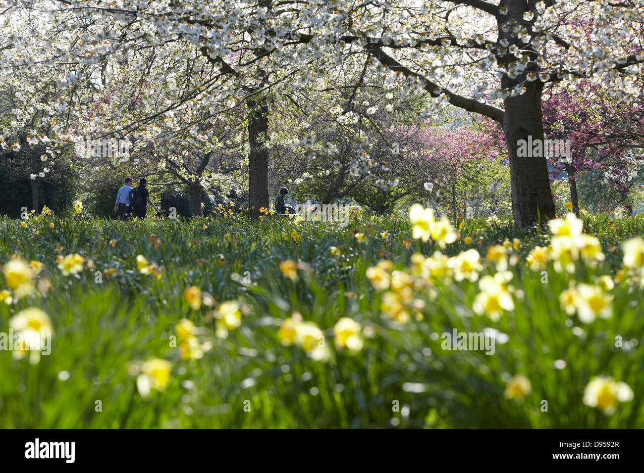 Summery park hi-res stock photography and images - Alamy
