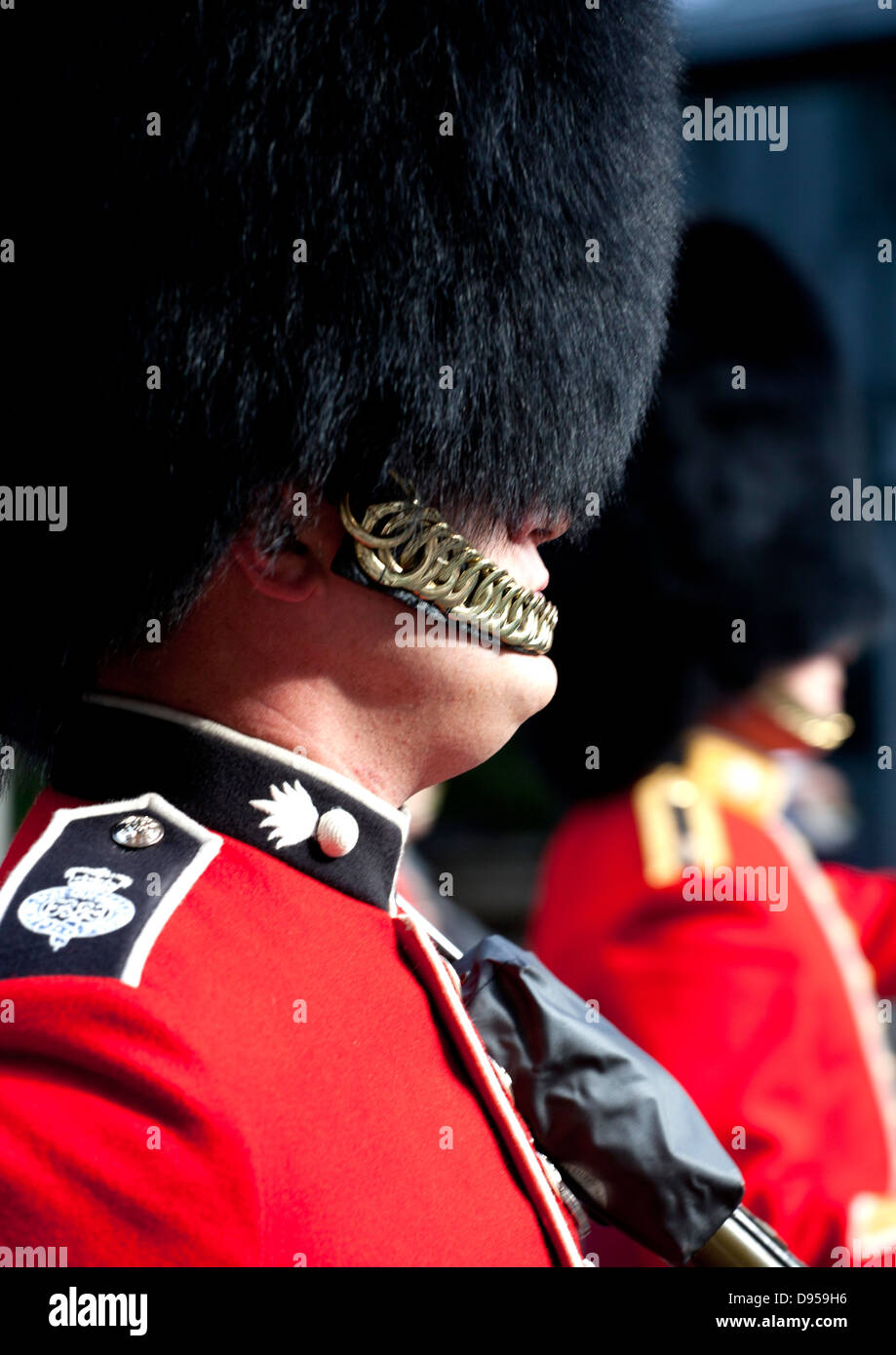 Royal guards close up, England UK Stock Photo