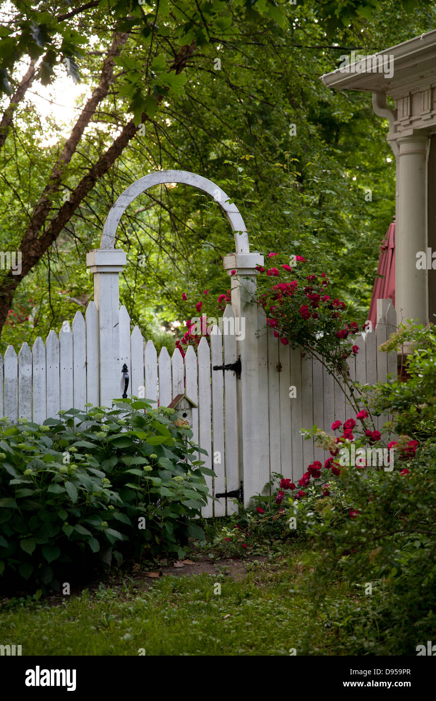 Old-fashioned garden gate with climbing tea roses. Stock Photo