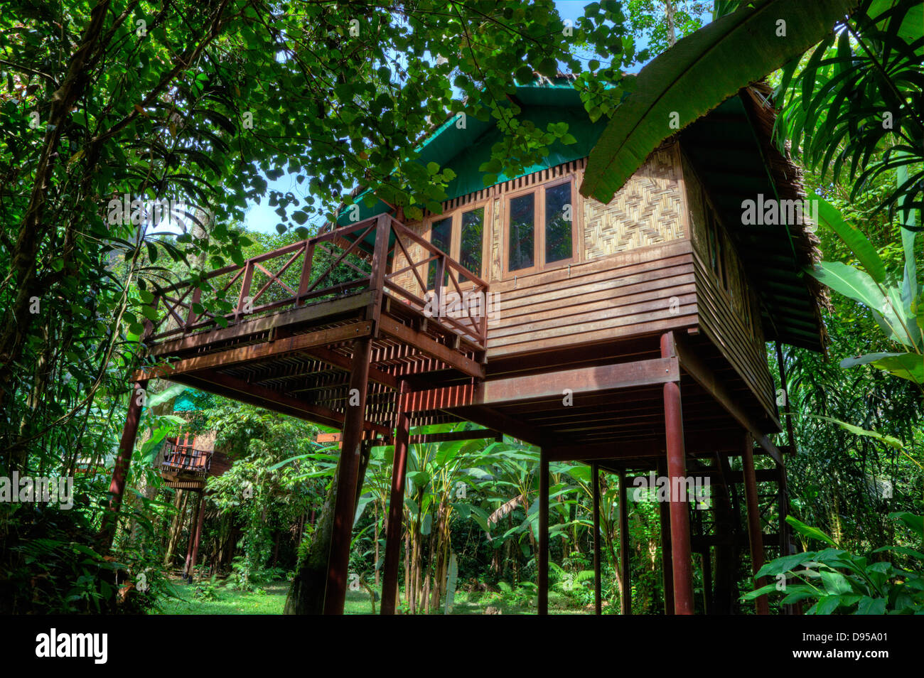 TREE HOUSES are the specialty of OUR JUNGLE HOUSE a lodge in the rainforest  near KHAO SOK NATIONAL PARK - SURATHANI PROVENCE, TH Stock Photo - Alamy