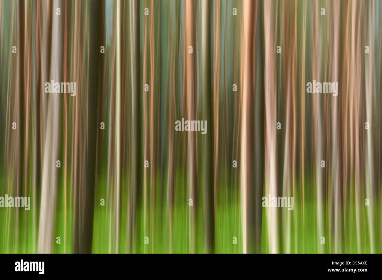 Abstract motion forest background. Green and brown texture. Artistic effect. Abstract nature. Stock Photo