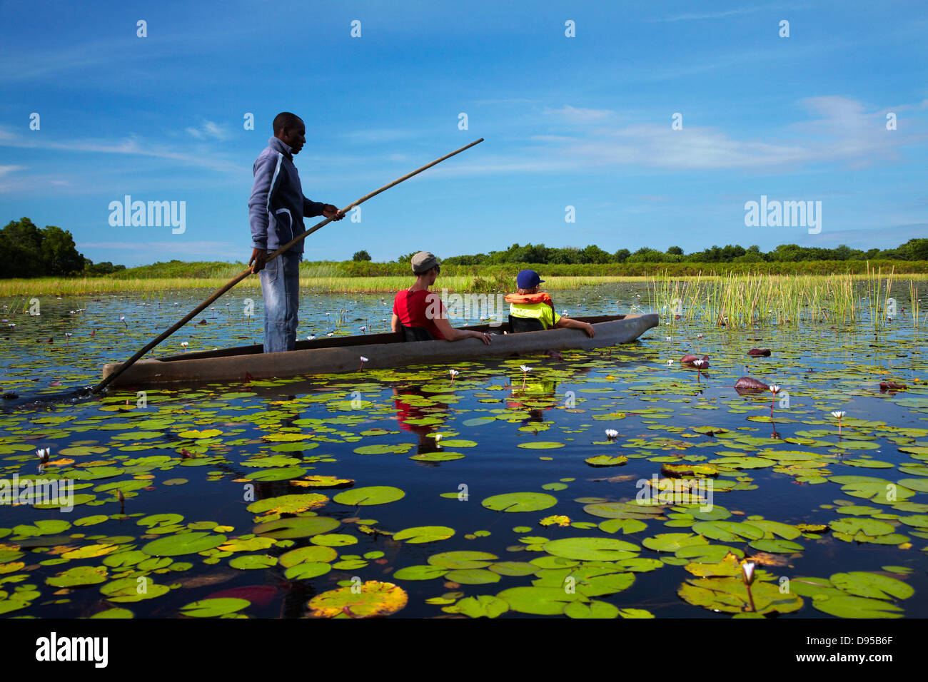 Tourists being poled though lily pads in mokoro (dugout canoe), Okavango Delta, Botswana, Africa Stock Photo