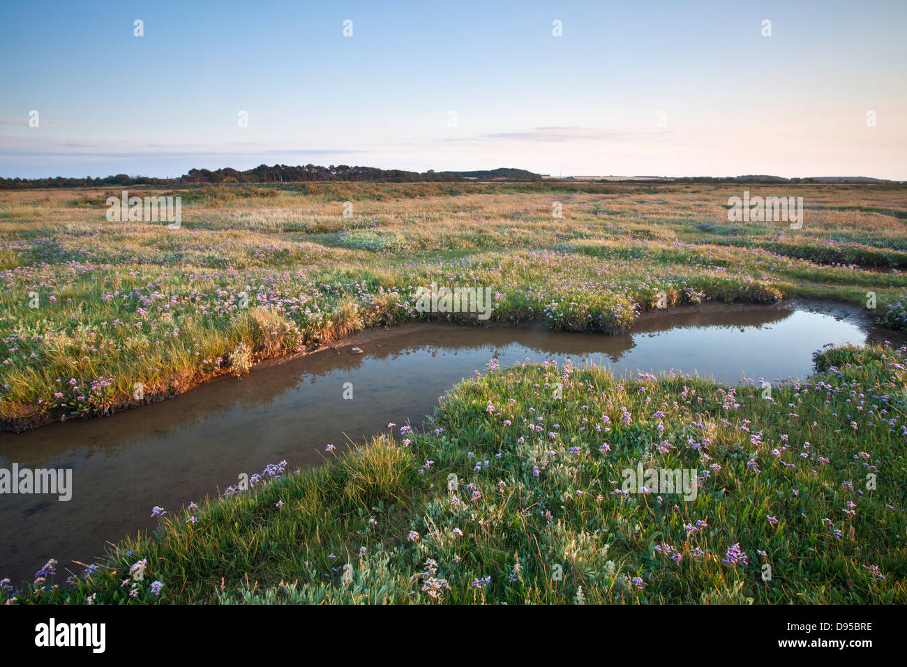 Salt marsh between Morston & Blakeney on the North Norfolk Coast Stock Photo
