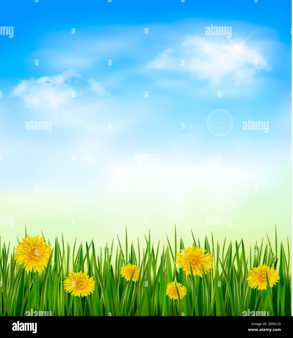 Nature background with green grass and flowers and blue sky. Vector