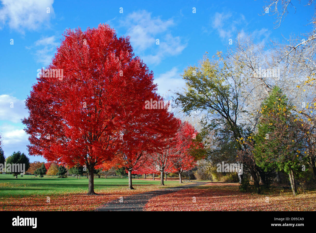 Urban walking trail hi-res stock photography and images - Alamy