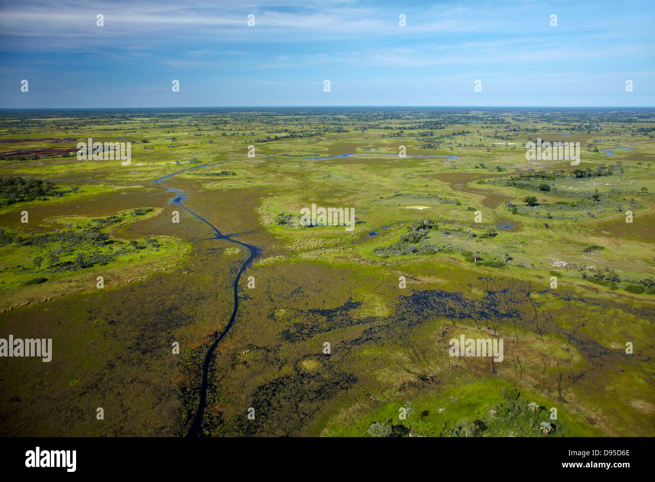 Chanel and animal tracks, Okavango Delta, Botswana, Africa- aerial Stock Photo