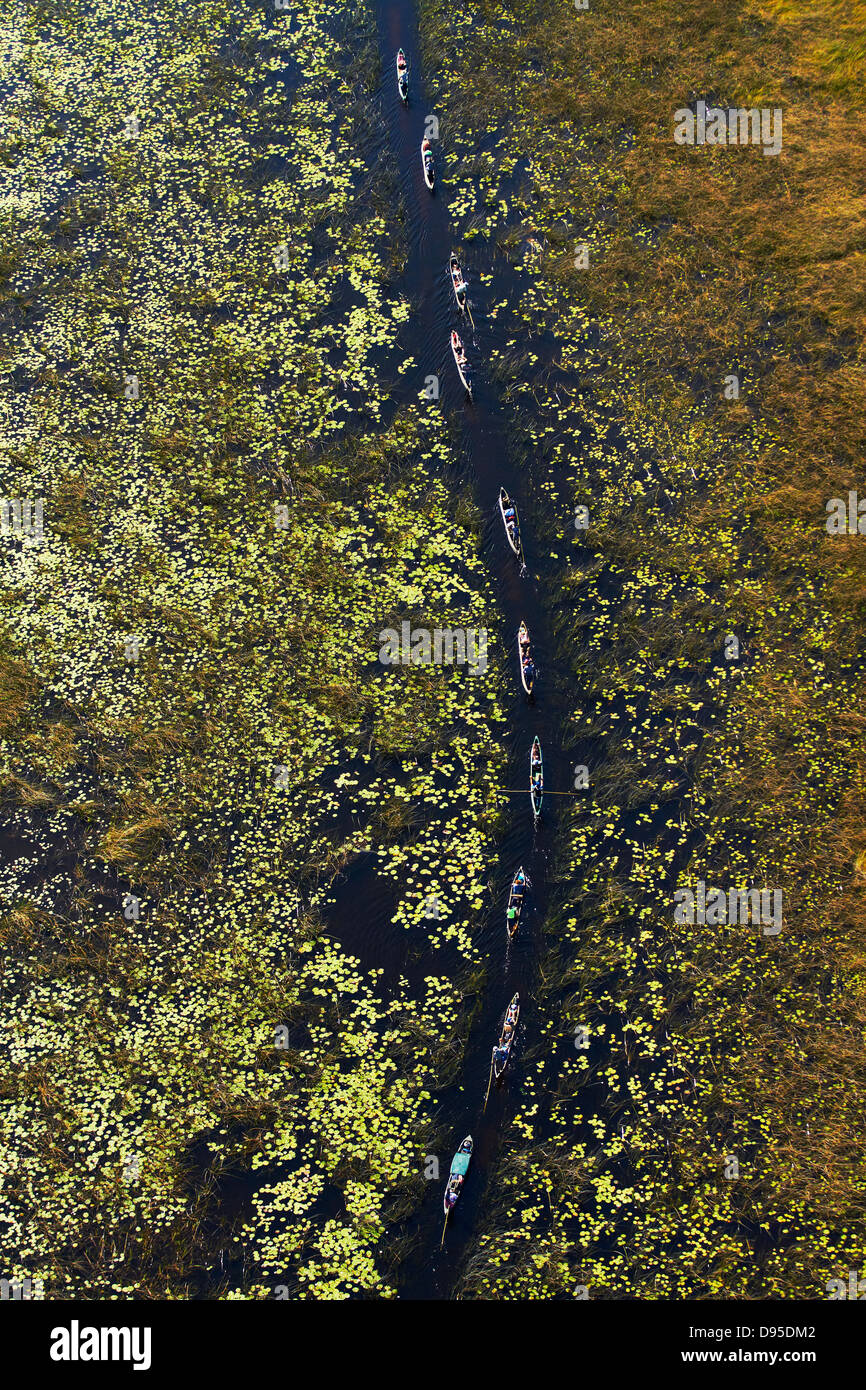 Tourists in mekoro (dugout canoes), Okavango Delta, Botswana, Africa- aerial Stock Photo