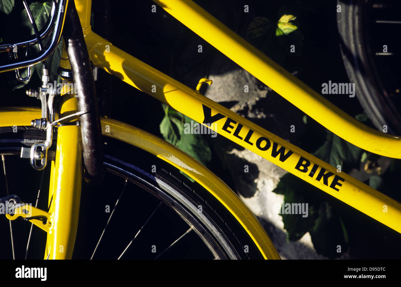 specialized stumpjumper