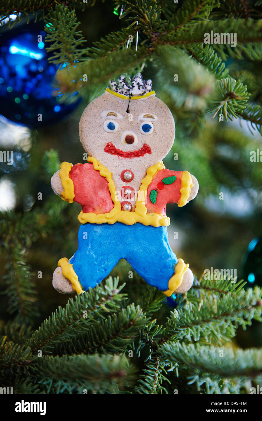 gingerbread man decorated with icing hanging on a pine tree as a Christmas ornament decoration, Canada Stock Photo